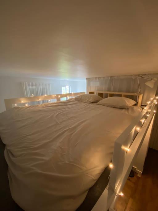 Appartement De Charme Pres Du Stade De France Saint-Denis  Luaran gambar